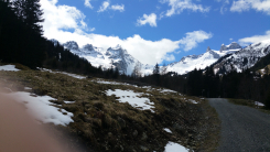 Bild von einem Weg in den Bergen